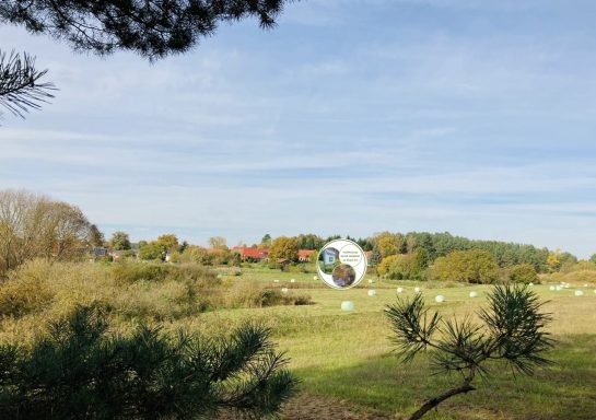 Ferienwohnung Enspannungszeit, Neustrelitz, Kluger See, Klein Trebbow, Mecklenburger Seenlandschaft, naturnah, stadtnah