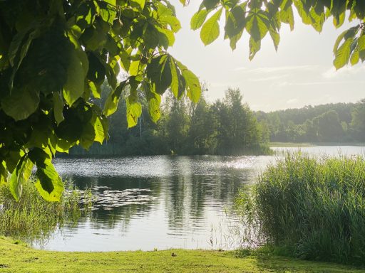 Ferienwohnung Enspannungszeit, Neustrelitz, Kluger See, Klein Trebbow, Mecklenburger Seenlandschaft, naturnah, stadtnah