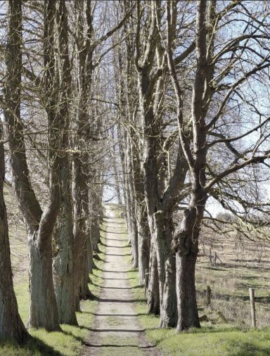 Ferienwohnung Enspannungszeit, Neustrelitz, Kluger See, Klein Trebbow, Mecklenburger Seenlandschaft, naturnah, stadtnah