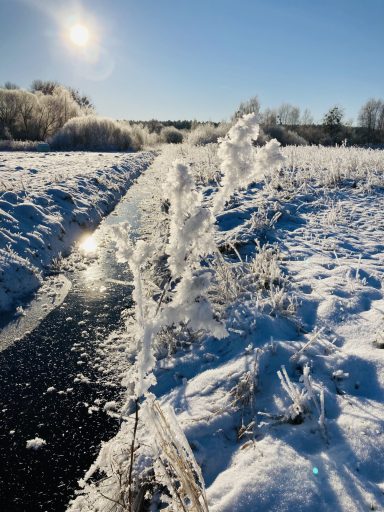 Ferienwohnung Enspannungszeit, Neustrelitz, Kluger See, Klein Trebbow, Mecklnburger Seenlandschaft, naturnah, stadtnah