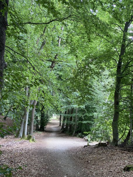 Ferienwohnung Enspannungszeit, Neustrelitz, Kluger See, Klein Trebbow, Mecklenburger Seenlandschaft, naturnah, stadtnah