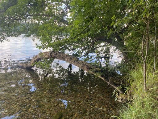 Ferienwohnung Enspannungszeit, Neustrelitz, Kluger See, Klein Trebbow, Mecklenburger Seenlandschaft, naturnah, stadtnah