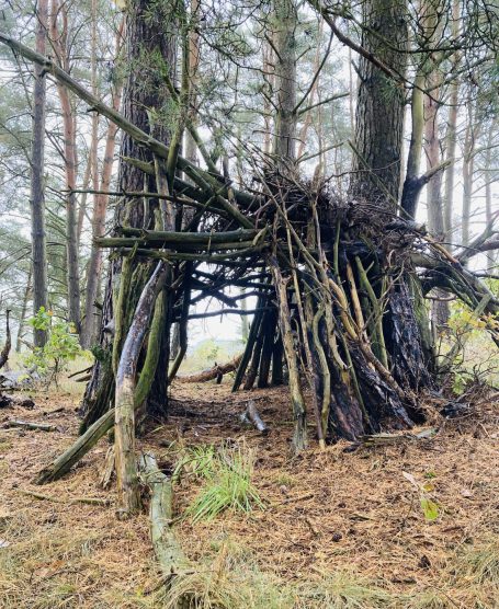Ferienwohnung Enspannungszeit, Neustrelitz, Kluger See, Klein Trebbow, Mecklenburger Seenlandschaft, naturnah, stadtnah